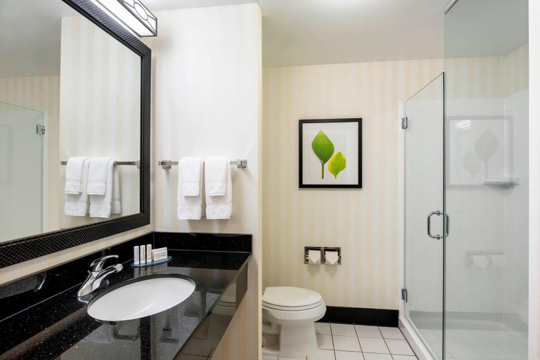 Bathroom 4, Fairfield Inn & Suites Winnipeg, Division No. 11