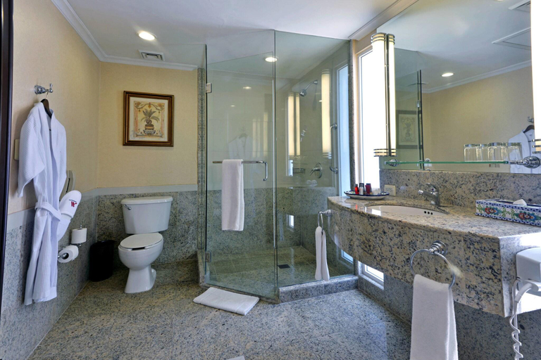 Bathroom 5, Marriott Torreon, Torreón