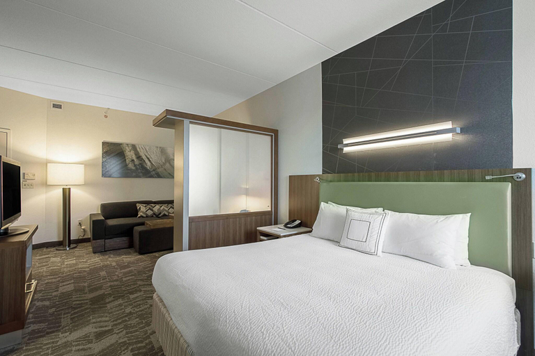 Bedroom 2, SpringHill Suites Tampa North/I-75 Tampa Palms, Hillsborough