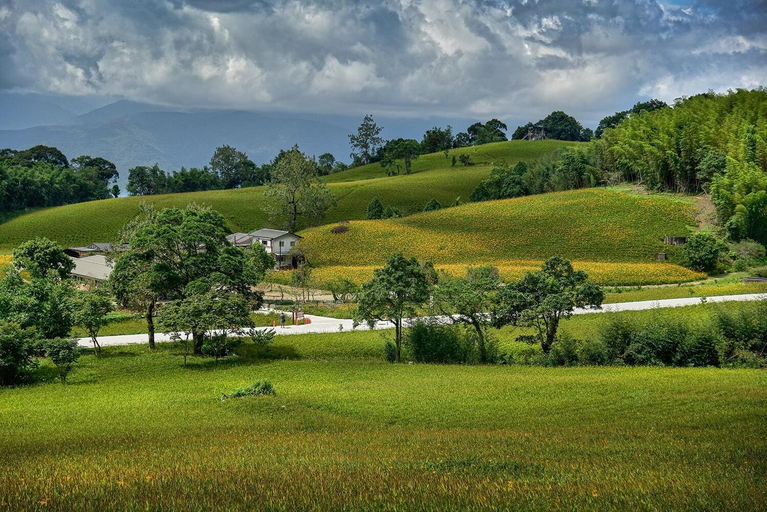 Others 5, Hong Guo Homestay, Hualien