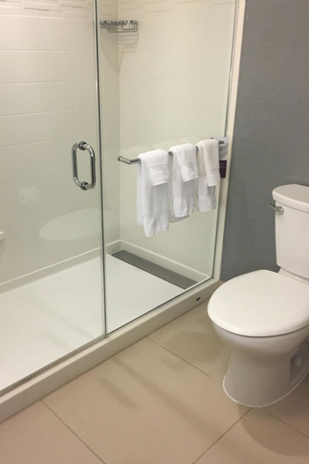 Bathroom 4, Residence Inn Albany Clifton Park, Saratoga