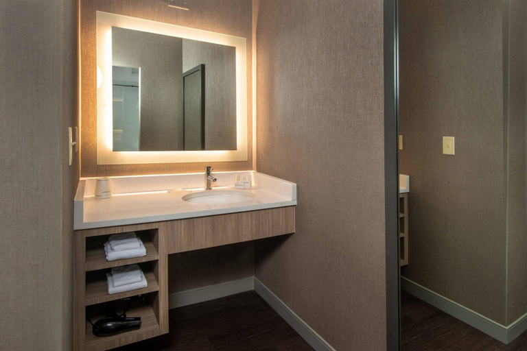 Bathroom 4, SpringHill Suites Herndon Reston, Fairfax