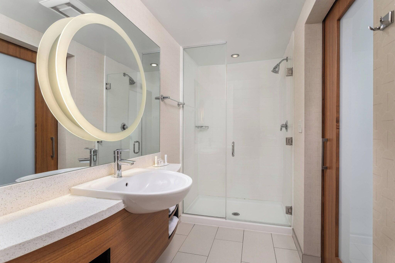 Bathroom 4, SpringHill Suites by Marriott Chattanooga Downtown/Cameron Harbor, Hamilton
