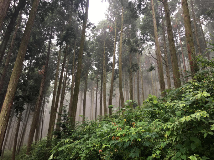 Others 3, Hago Guest House, Tongyeong