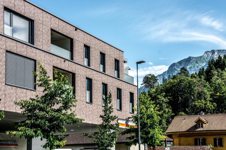 Exterior & Views 2, Apartment Fluehbluemli - GRIWA RENT AG, Interlaken