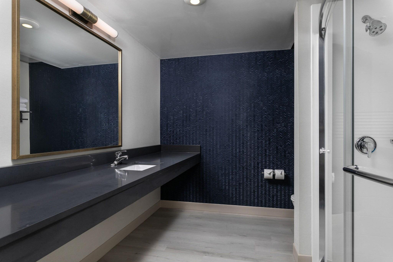 Bathroom 4, Fairfield Inn &Suites Chattanooga South/East Ridge, Hamilton