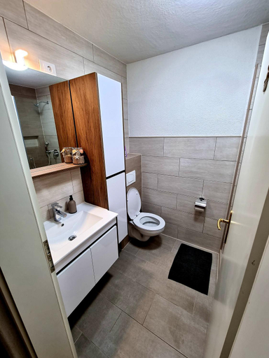 Bathroom 2, Apartment Villa Engel with Pool, Poreč