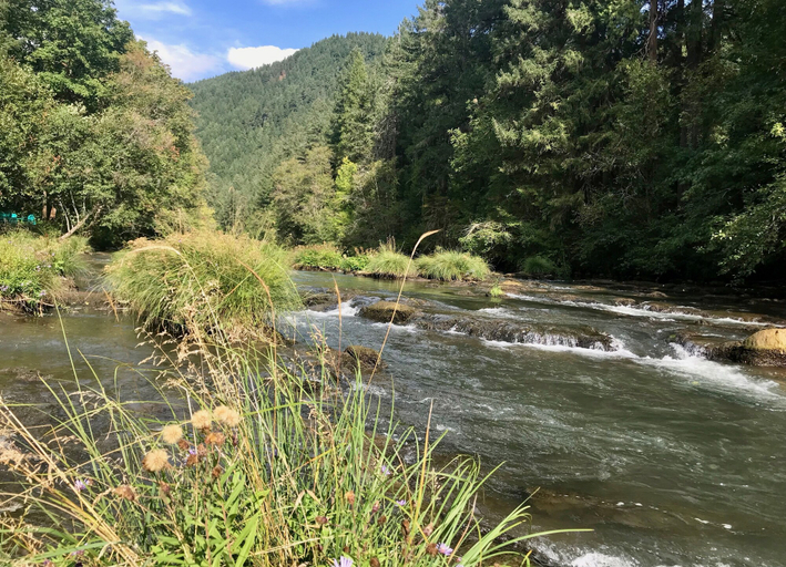 Others 4, McKenzie River Mountain Resort, Lane