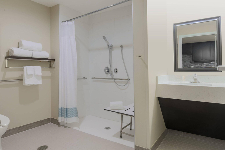 Bathroom 4, TownePlace Suites McAllen Edinburg, Hidalgo
