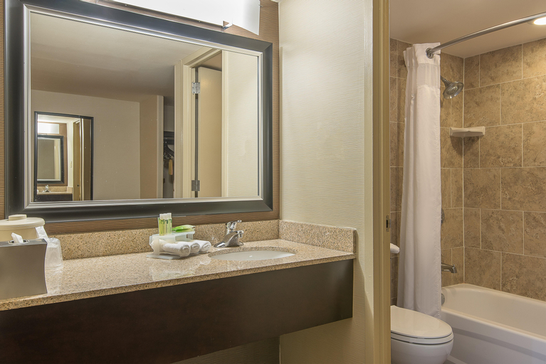 Bedroom 4, Holiday Inn Express PHILADELPHIA-MIDTOWN, Philadelphia