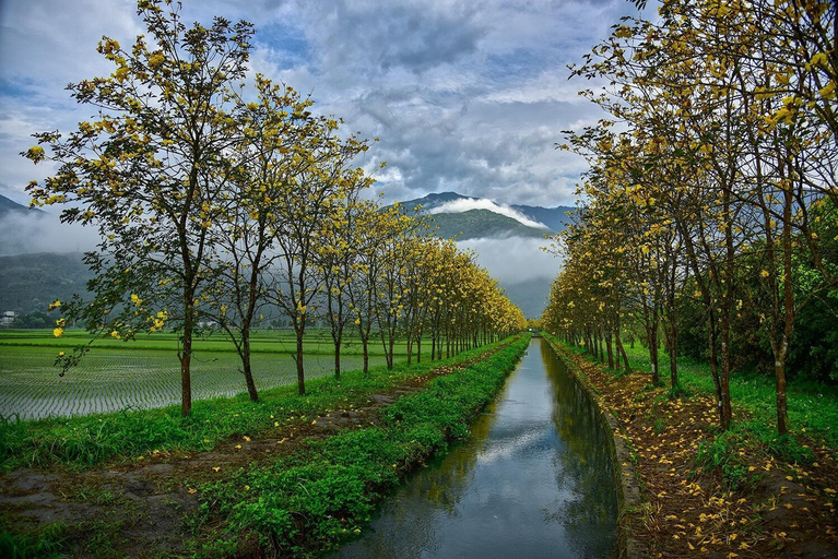 Others 3, Hong Guo Homestay, Hualien