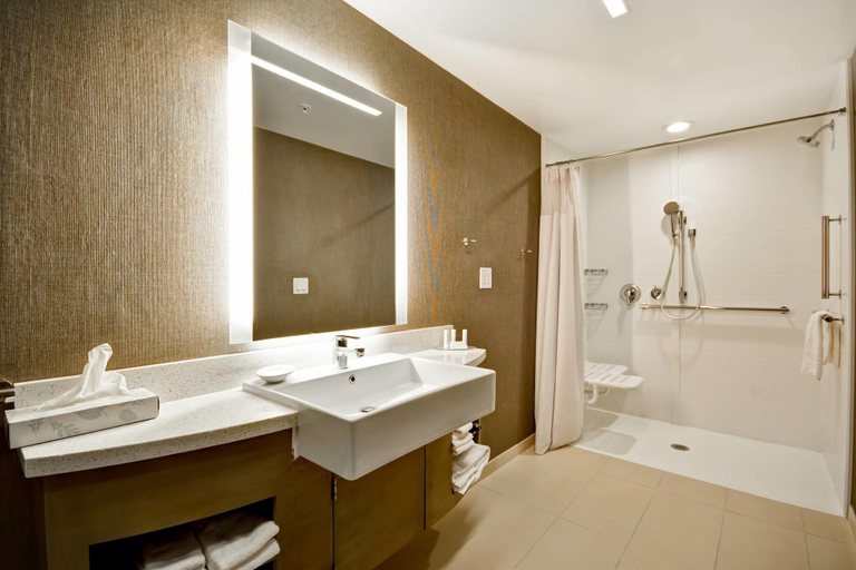 Bathroom 4, Springhill Suites Cincinnati Blue Ash, Cincinnati
