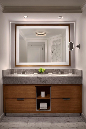 Bathroom 4, The Ritz-Carlton Naples, Tiburón, Collier