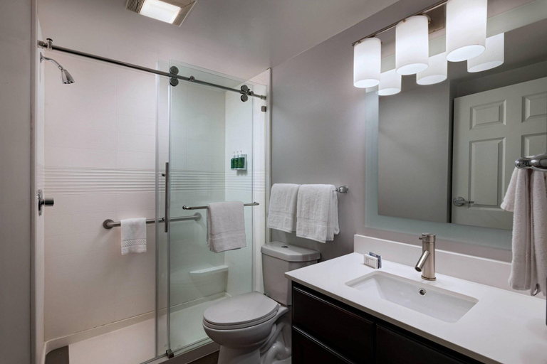 Bathroom 4, TownePlace Suites Baton Rouge South, East Baton Rouge