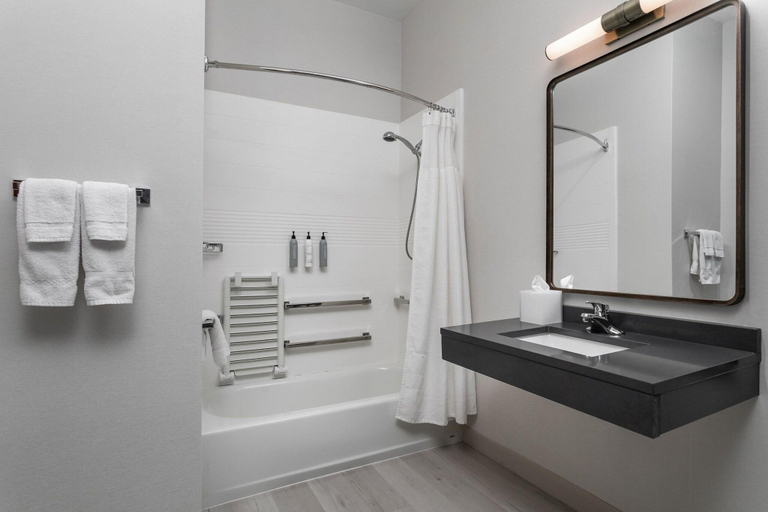 Bathroom 4, Fairfield Inn &Suites Chattanooga South/East Ridge, Hamilton