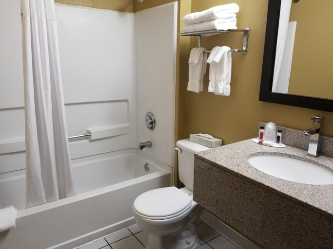 Bathroom 5, Microtel Inn & Suites By Wyndham Riverside, Montgomery