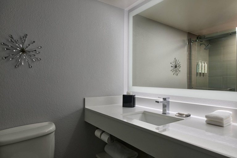 Bathroom 4, El Paso Marriott, El Paso