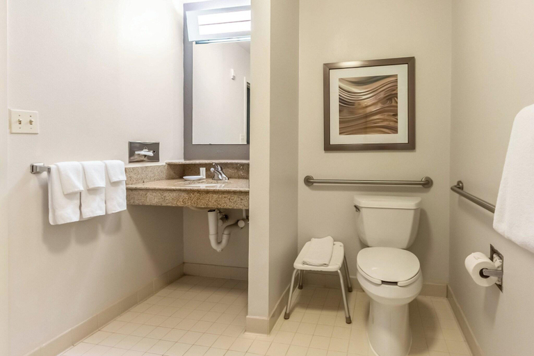 Bathroom 5, Courtyard by Marriott Dallas DFW Airport South/Irving, Irving