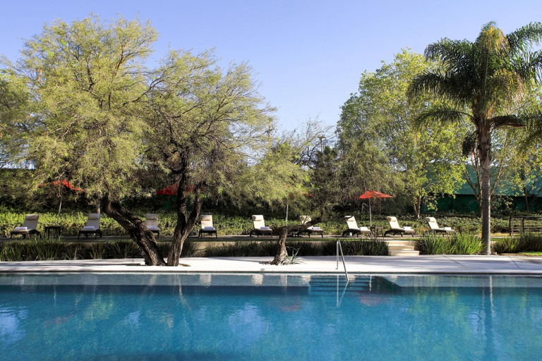 Sport & Beauty 2, Aguascalientes Marriott Hotel, Aguascalientes