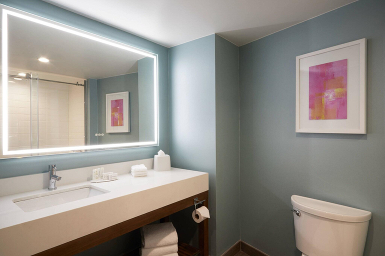 Bathroom 4, Fairfield Inn & Suites Camarillo, Ventura