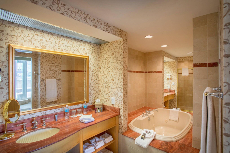 Bathroom 4, Cincinnati Marriott at RiverCenter, Kenton