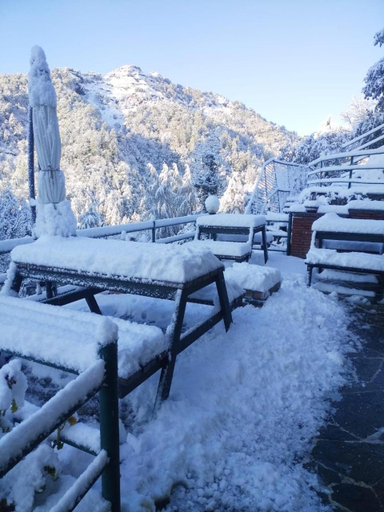 Others 5, Seegreen Lodges, Dehradun