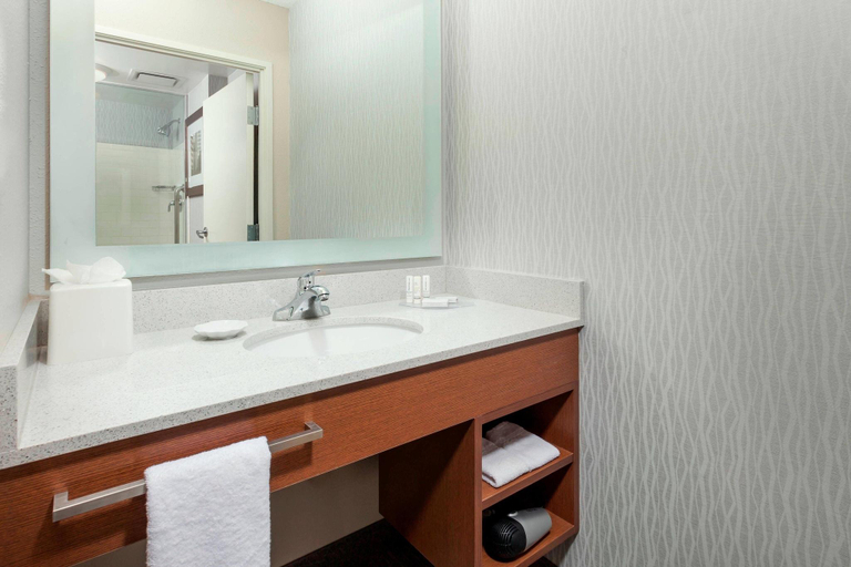 Bathroom 4, SpringHill Suites Chicago Downtown/River North, Cook