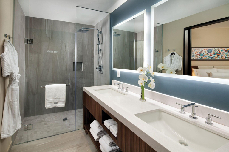 Bathroom 5, The Westin Los Cabos Resort Villas & Spa, La Paz