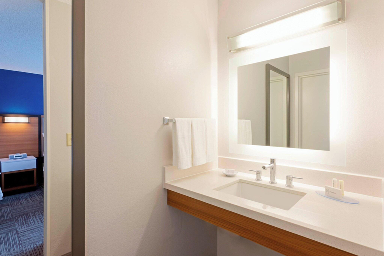 Bathroom 5, Springhill Suites Rochester Mayo Clinic Area/St. M, Olmsted