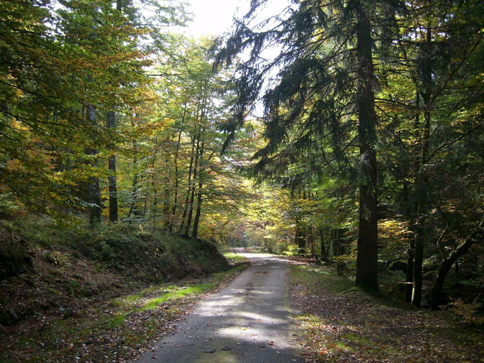 Others 5, Chalet du Montal, Nièvre