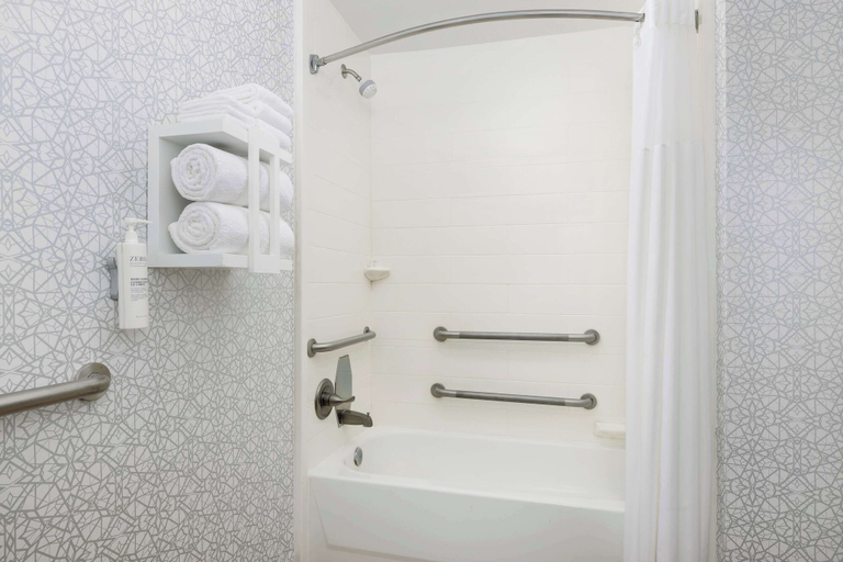Bathroom 4, Hampton Inn Laredo, Webb
