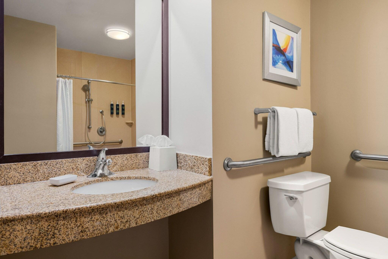 Bathroom 4, Four Points by Sheraton Chicago Westchester Oak, Cook
