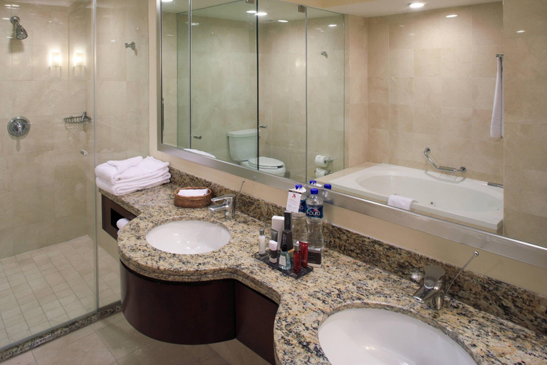 Bathroom 5, Aguascalientes Marriott Hotel, Aguascalientes