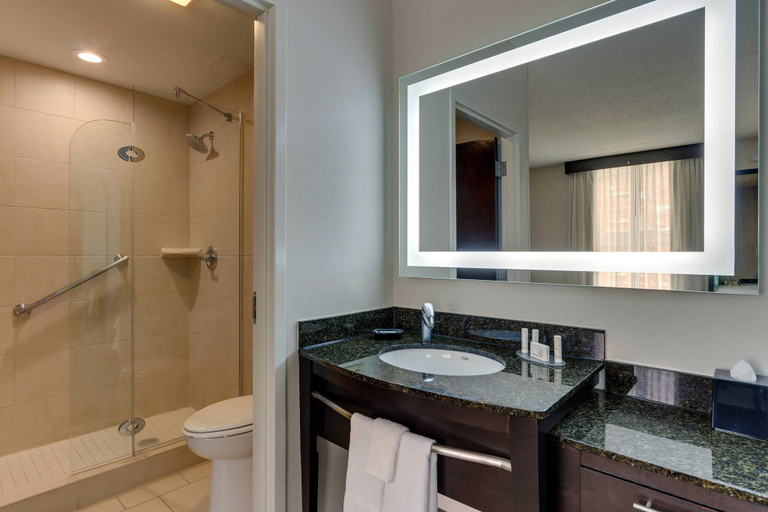 Bathroom 5, SpringHill Suites Birmingham Downtown at UAB, Jefferson