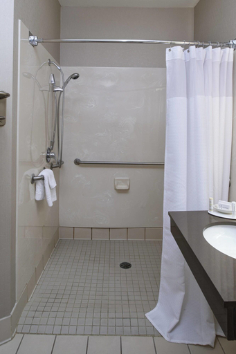 Bathroom 4, Springhill Suites Frankenmuth, Saginaw