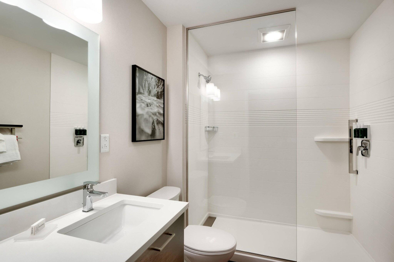 Bathroom 4, TownePlace Suites by Marriott Salt Lake City Downtown, Salt Lake