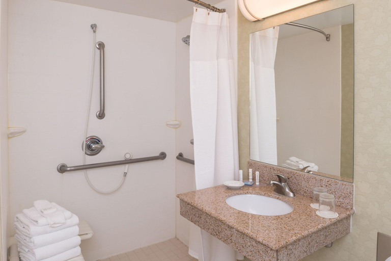 Bathroom 4, Springhill Suites Boise, Ada