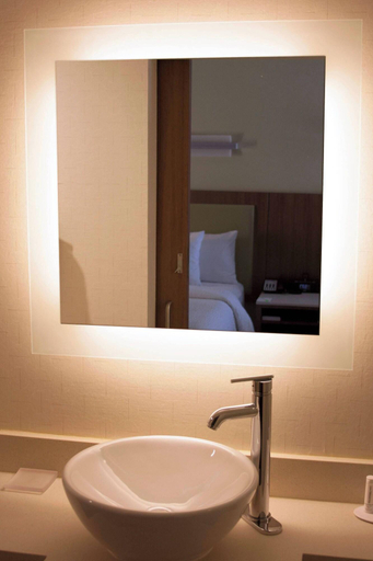 Bathroom 3, Springhill Suites Corpus Christi, Nueces