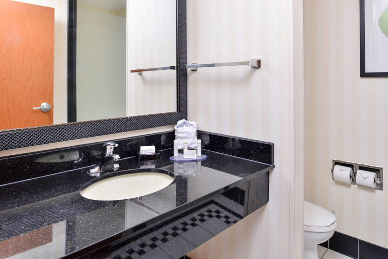 Bathroom 4, Fairfield Inn & Suites Birmingham Pelham/I-65, Shelby
