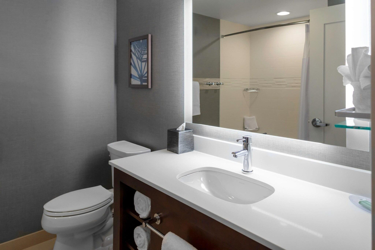 Bathroom 4, Residence Inn Boston Burlington, Middlesex