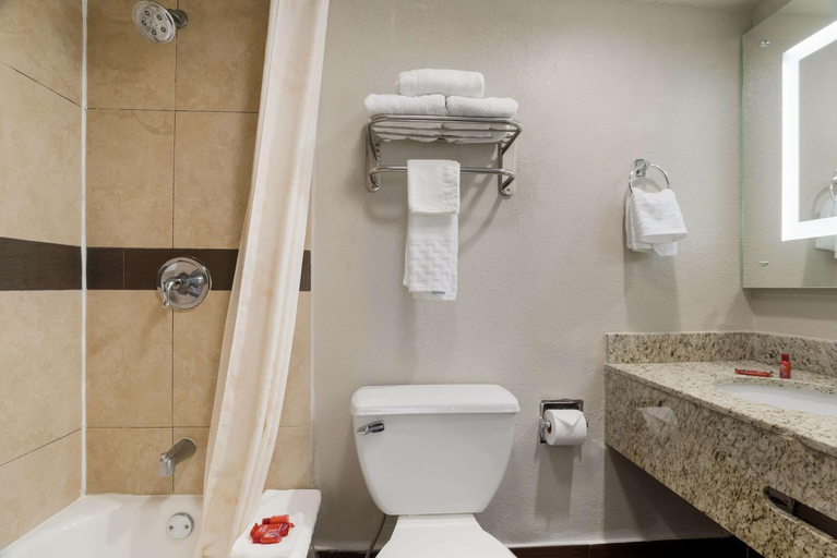 Bathroom 4, Hotel Laredo, Webb