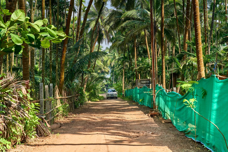 Others 5, Tranquil Beach Resort, Raigarh