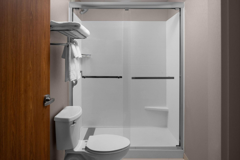 Bathroom 4, Springhill Suites By Marriott Pittsburgh Southside, Allegheny