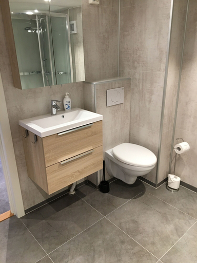 Bathroom 3, Just Like Home Spa & Apartment with private pool, Porsgrunn