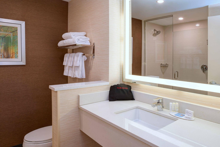 Bathroom, Fairfield Inn & Suites Ann Arbor Ypsilanti, Washtenaw