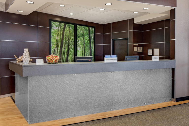 Public Area 2, SpringHill Suites Green Bay, Brown