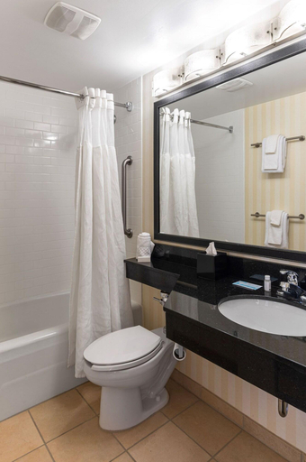 Bathroom 5, Chester Inn & Suites, Hamilton