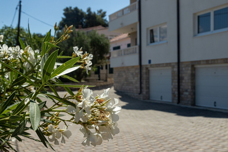 Exterior & Views 2, Apartments Josko, Trogir