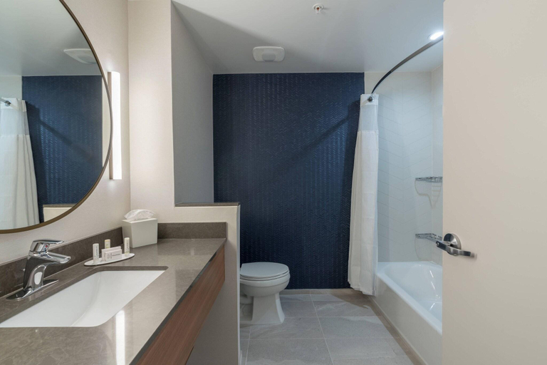 Bathroom 4, Fairfield Inn & Suites Gainesville I-75, Alachua