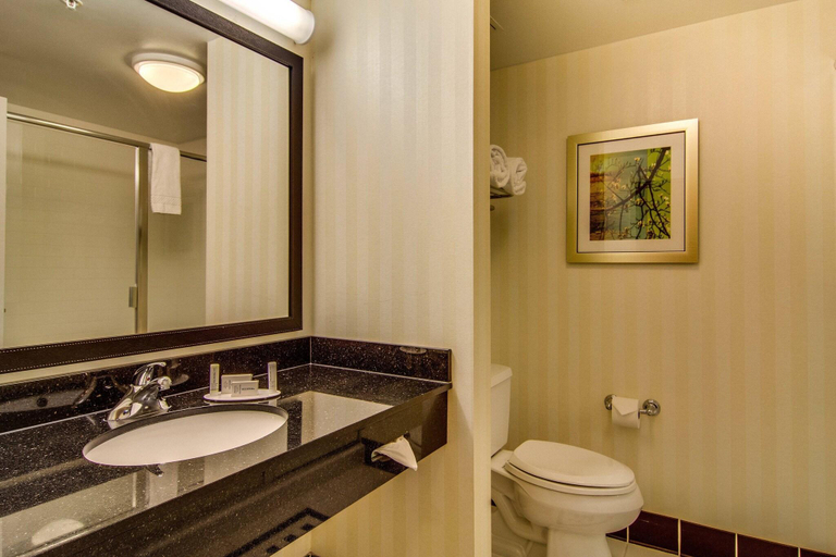 Bathroom 4, Fairfield Inn & Suites Palm Coast I-95, Flagler
